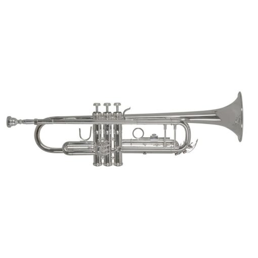 Bach  B-trombita TR501S