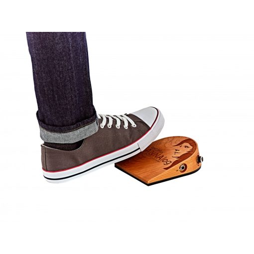 Ortega ANNALOG Stomp boksz