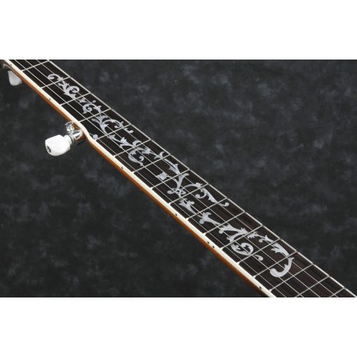 Ibanez B200 5 húros Banjó