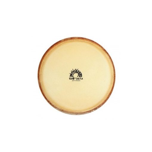 Club Salsa bongó bőr 8,5
