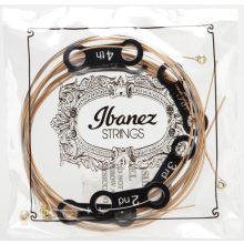 Ibanez IACSP61C Akusztikus gitárhúr készlet 10-47