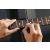 Ibanez IFC1000 Bund tisztító