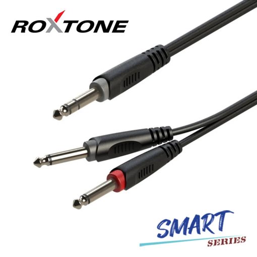 Roxtone SAYC100L0030