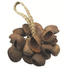 Toca  shaker Seed Shell  