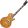 Vintage V100AFD Paradise Flamed Maple